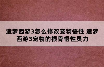 造梦西游3怎么修改宠物悟性 造梦西游3宠物的根骨悟性灵力